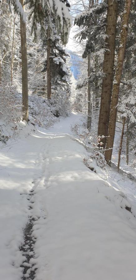 Apartment Sonnenbuechel Wald am Arlberg Bagian luar foto